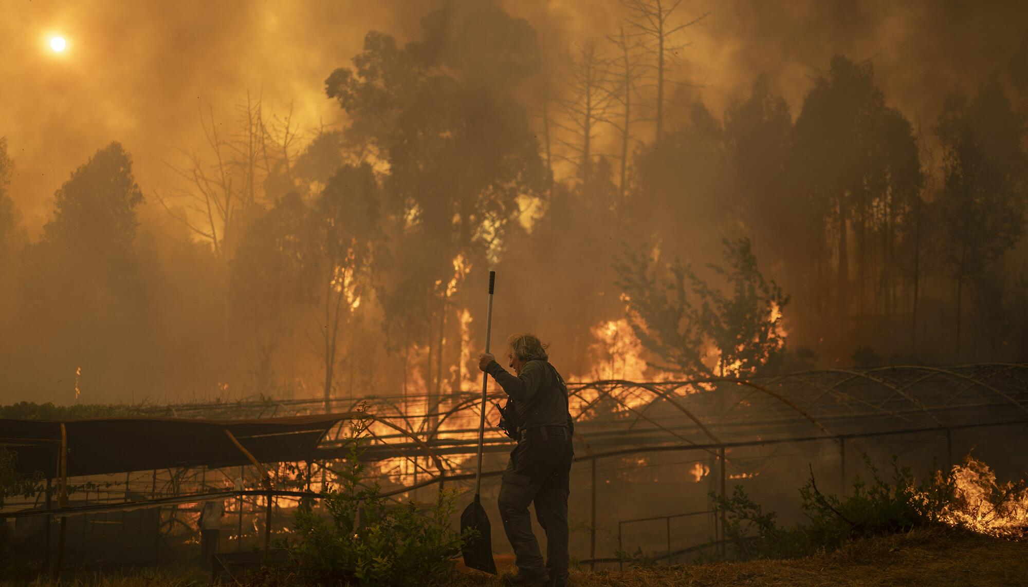 Incendio Carballeda de Avia Ourense